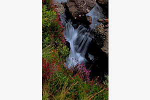 Die Kraft des Wassers 