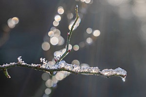 Eislichtzauber Eislichtzauber