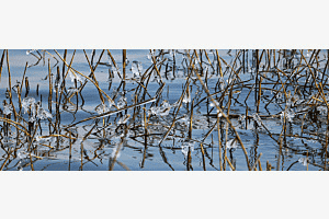 Zauber: Eis-Wasser-Sonne