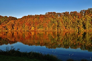 Flussufer