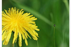 Hoch hinaus