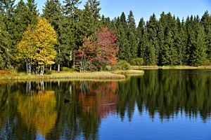 Étang de la Gruère