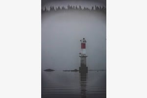 Nebel