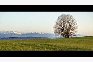 Swiss Alps