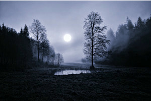 Moonlight Shadow 