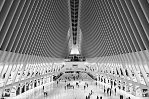 Oculus