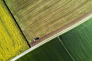 Field work