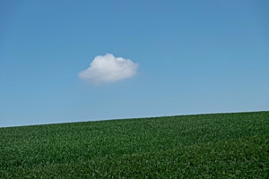 Cumulus humilis