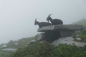 "aussichtslos" (Alpe Nimi, Tessin)