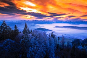 FROZEN MORNING