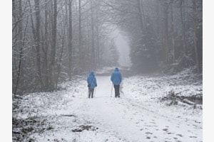 Walking