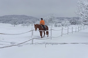 Ausritt im Winter