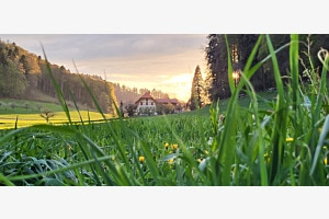 Der Bauerhof Der Bauerhof
