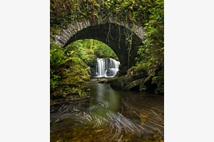 Waterfall I