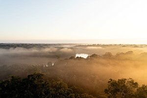 Sonnenaufgang über dem Amazonas