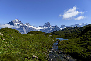 Bachalpsee III