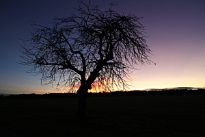 Sonnenaufgang in Utzenstorf 