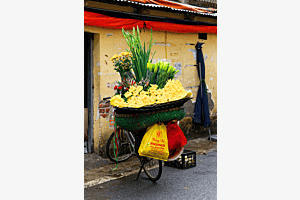 Hanoi