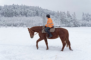 Ausritt im Winter