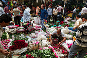 Kolkata Flower Market