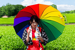 Portrait in Japan