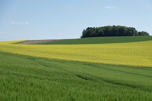Mitte Mai