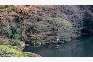 Perfekte Harmonie - See im japanischen Garten - Tokio