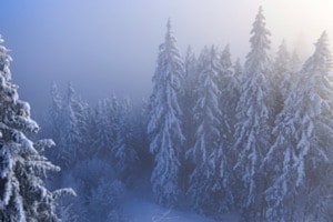 Frostiger Morgen