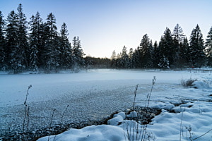 Abends am gefrorenen Etang de Gruère
