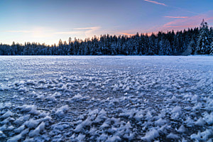 Bei Sonnenaufgang auf dem gefrorenen Etang de Gruère