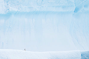 Blue Ice