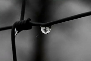 Stiller Wassertropf
