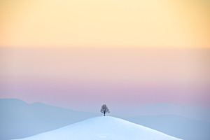 Emmentaler Kunst der Natur