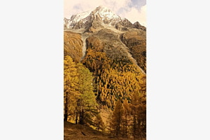 Herbst im Val d'Arolla