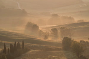 Tuscany Morning I