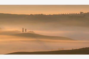 Tuscany Morning III