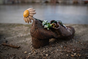Schuh