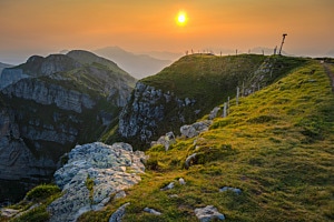 Alp