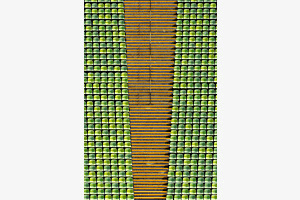 Treppe