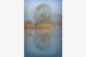 Moossee