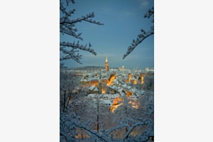 Winterwunderland