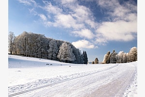 Perfektes Wetter für Langlauf