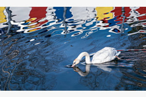Mondrian lässt grüssen