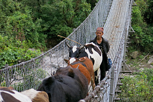 Hängebrücke in Nepal
