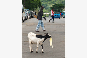 Road block - South Africa