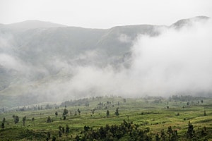 Drakensberge/Südafrika im Nebel