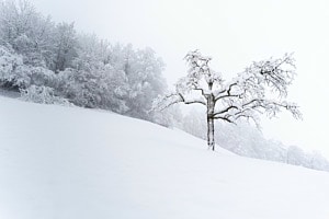 Neuschnee