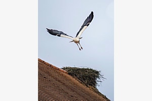 Landeanflug