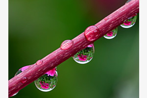 Nach dem Regen 2