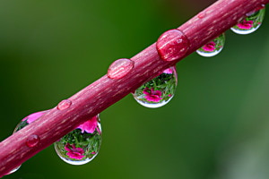 Nach dem Regen